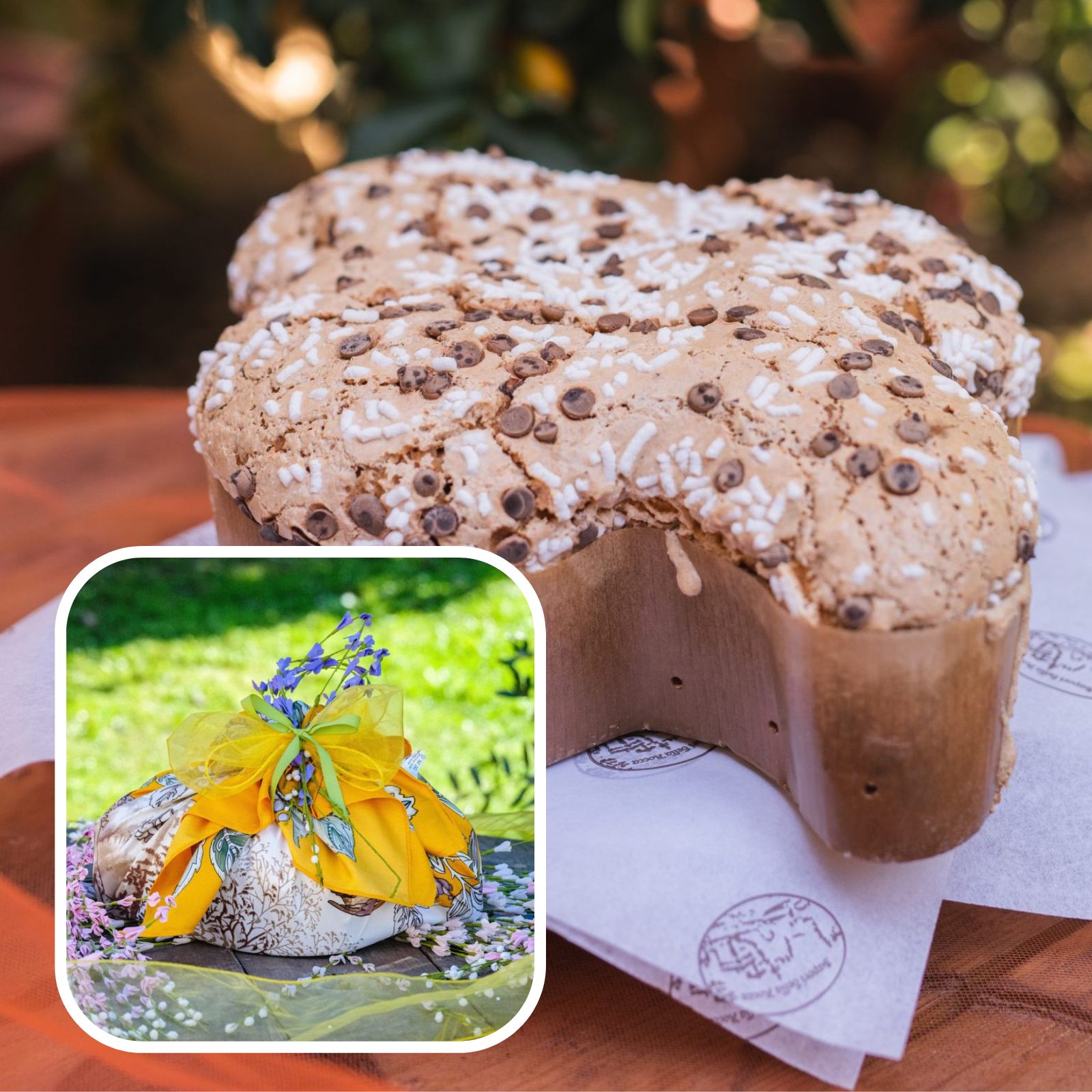 Colomba Albicocche e Cioccolato La Dolce